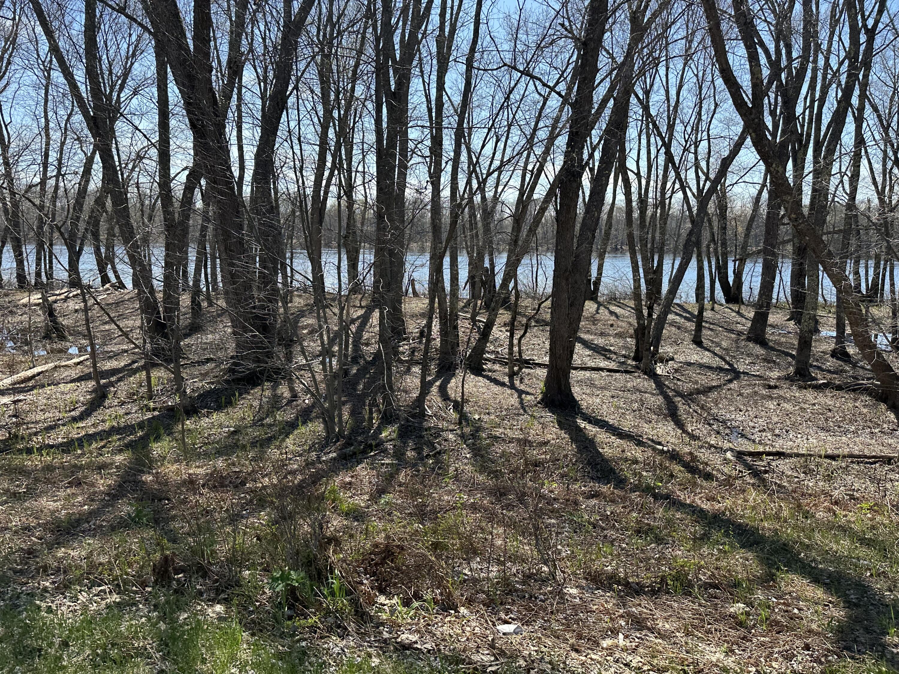 170 Pine Road Greenbush, ME 04418 - Photo 8 of 21 image00011