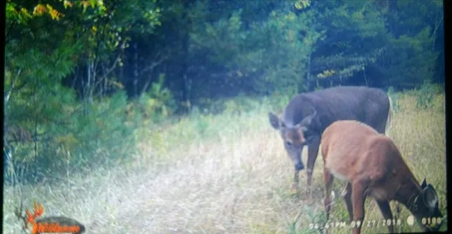 $122,000 | 170 Pine Road, Greenbush, ME 04418