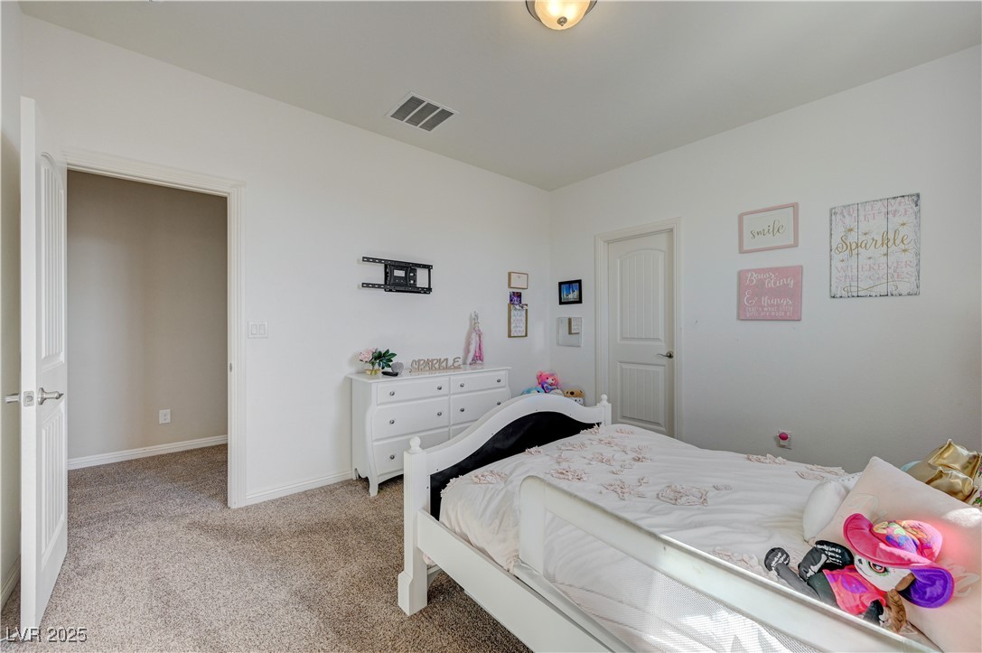 3728 River Heights Lane Logandale, NV 89021 - Photo 66 of 89