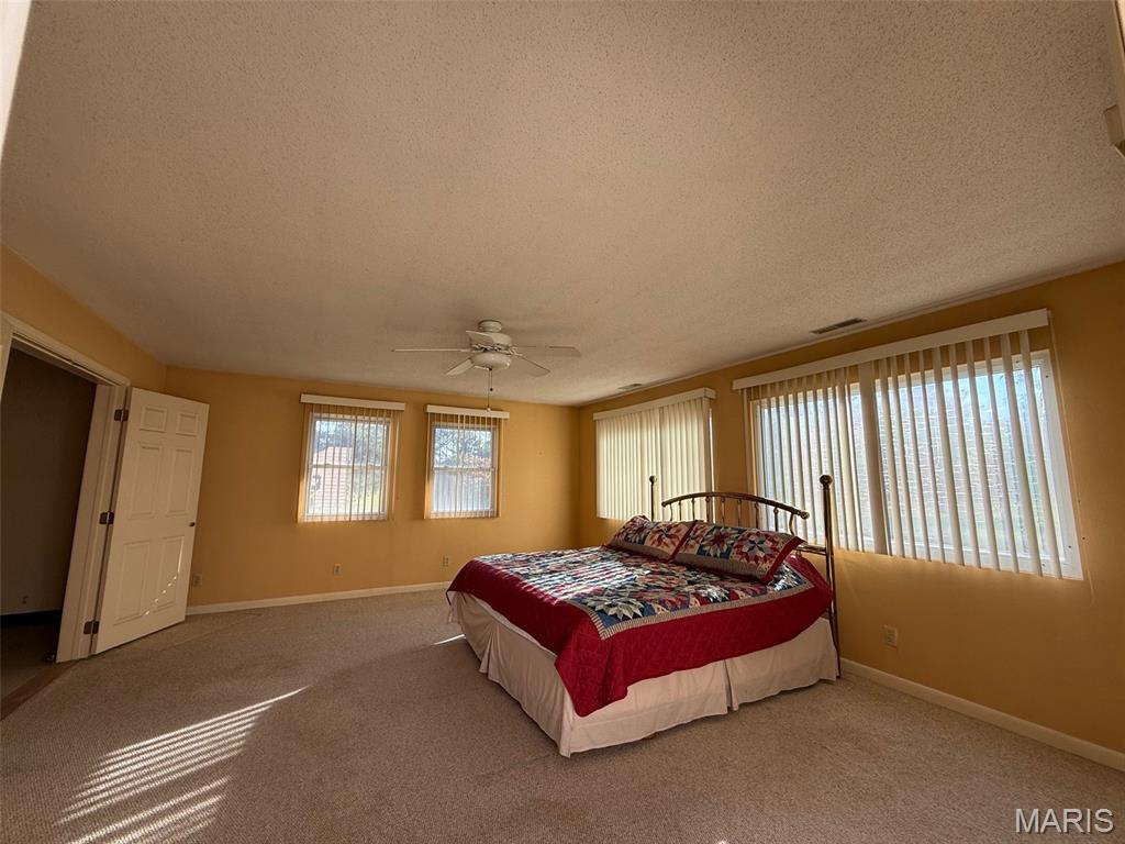 2359 North 1675th Street Brownstown, IL 62418 - Photo 8 of 19