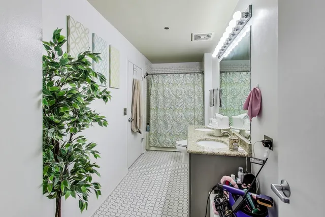 a bathroom with a potted plant and a sink