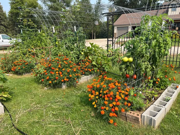 $775,000 | 20482 28th Avenue North, Hawley, MN 56549