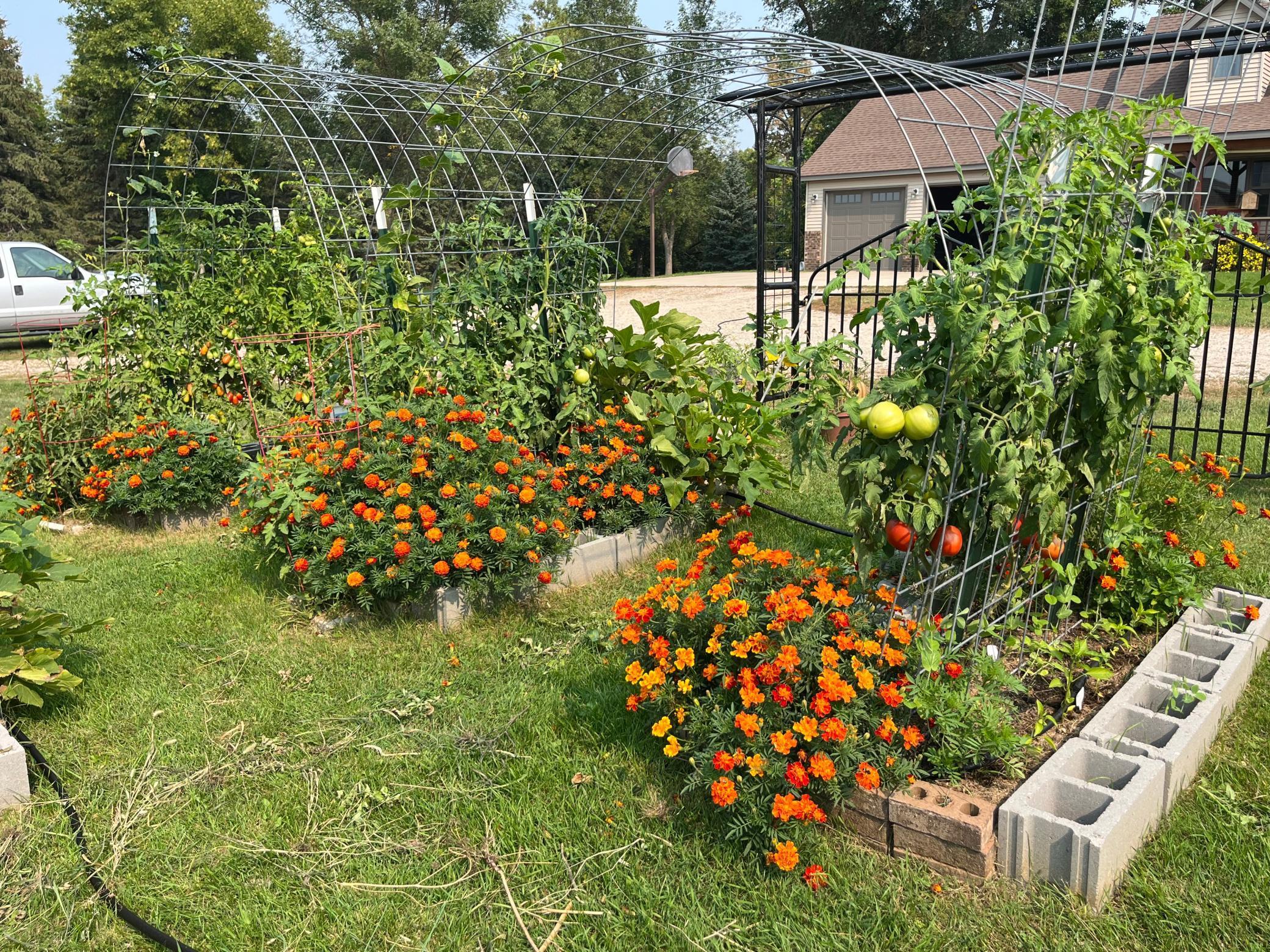 20482 28th Avenue North Hawley, MN 56549 - Photo 73 of 78