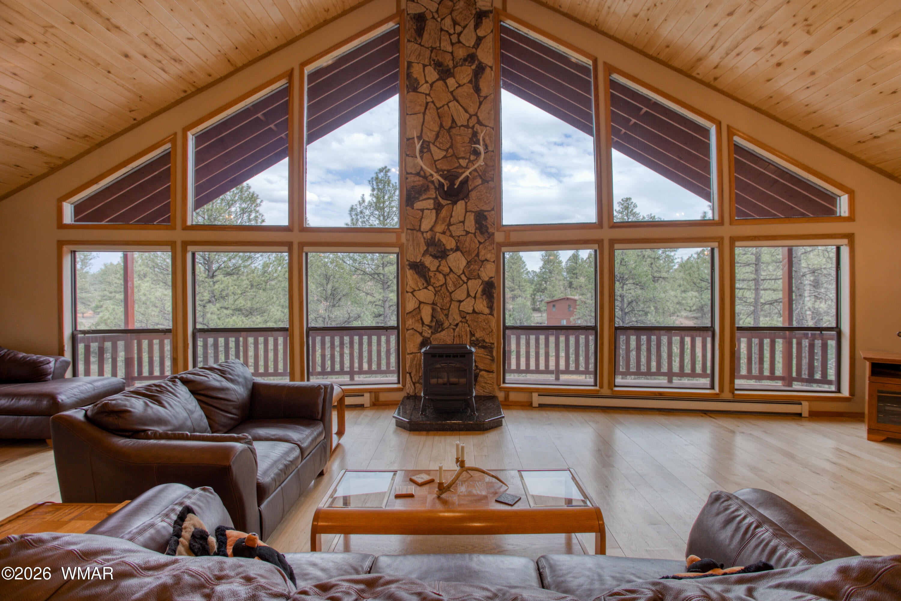 2881 Lodgepole Road Overgaard, AZ 85933 - Photo 23 of 46 PaxmanPh_untitled-9416-Edit