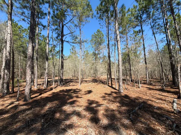 $99,900 | 13 Boise Cascade, Unit BHL 13, Bethune, SC 29009