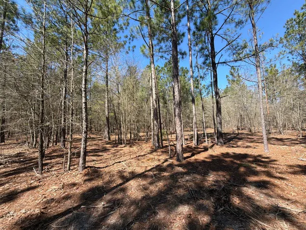 $99,900 | 13 Boise Cascade, Unit BHL 13, Bethune, SC 29009