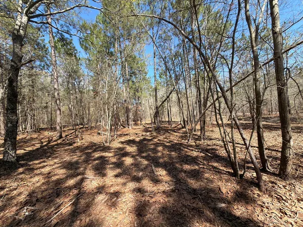 $99,900 | 13 Boise Cascade, Unit BHL 13, Bethune, SC 29009