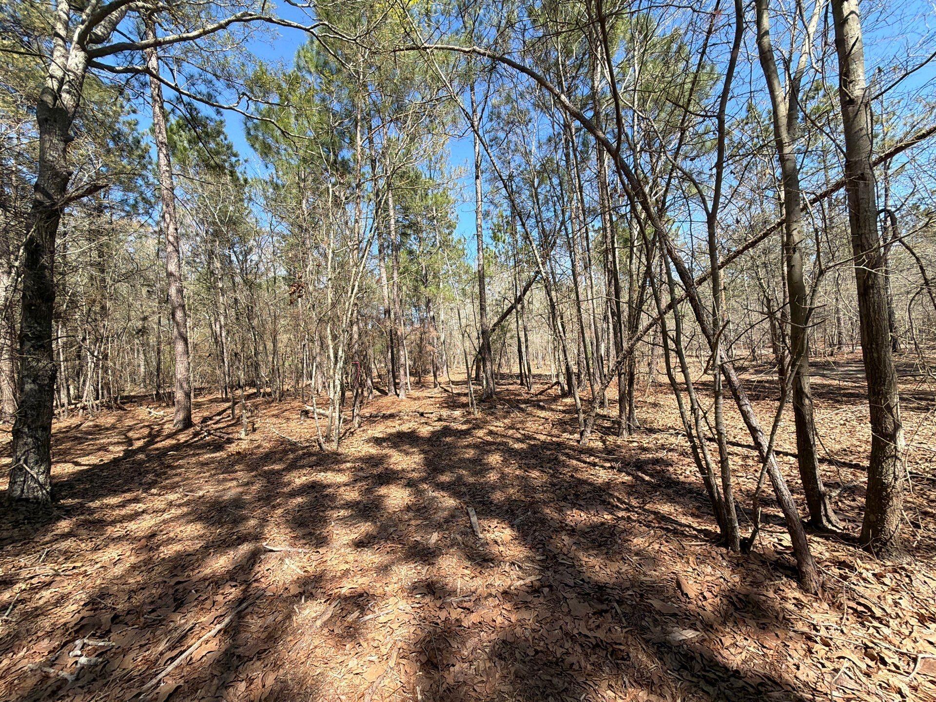 13 Boise Cascade, Unit BHL 13 Bethune, SC 29009 - Photo 14 of 36 13-Mar 18 2026 04_39pm-Ug8m
