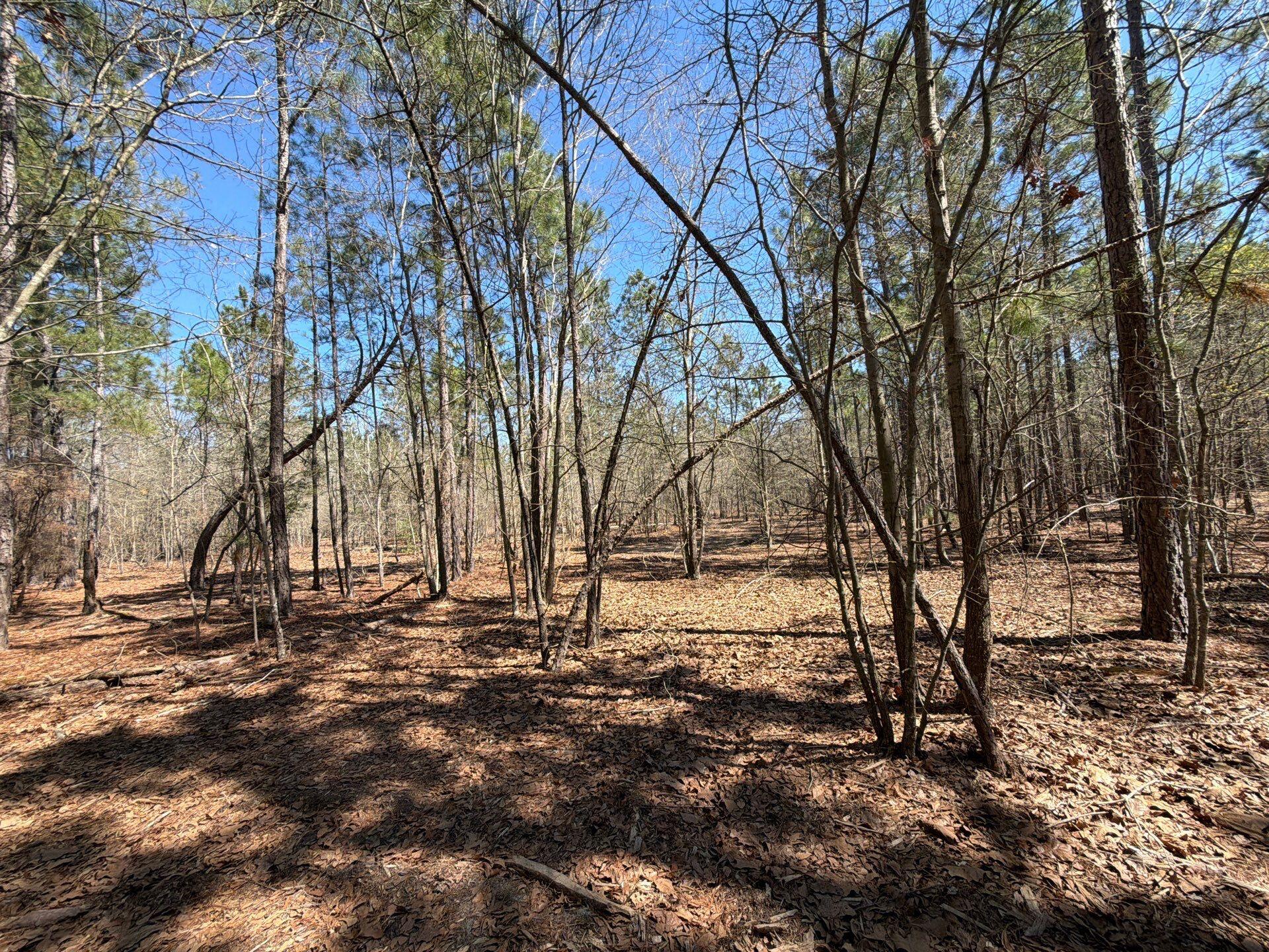 13 Boise Cascade, Unit BHL 13 Bethune, SC 29009 - Photo 15 of 36 14-Mar 18 2026 04_39pm-EsjA