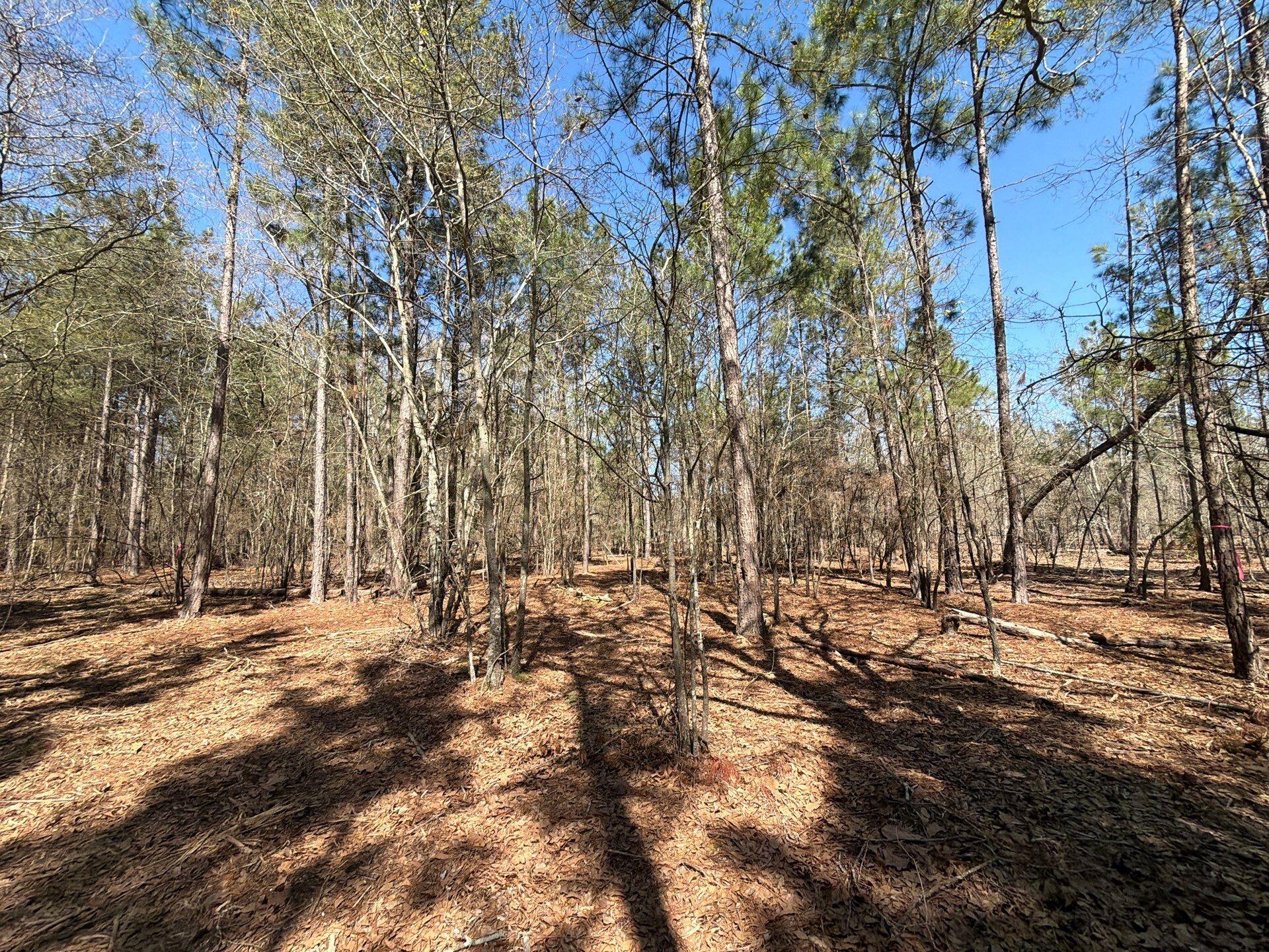 13 Boise Cascade, Unit BHL 13 Bethune, SC 29009 - Photo 16 of 36 15-Mar 18 2026 04_39pm-8Nuq