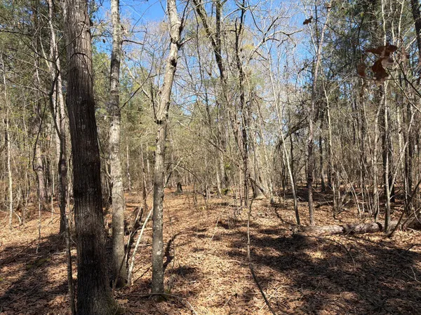 $99,900 | 13 Boise Cascade, Unit BHL 13, Bethune, SC 29009