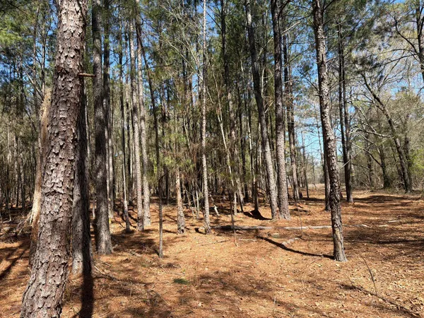 $99,900 | 13 Boise Cascade, Unit BHL 13, Bethune, SC 29009