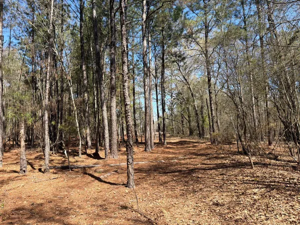 $99,900 | 13 Boise Cascade, Unit BHL 13, Bethune, SC 29009