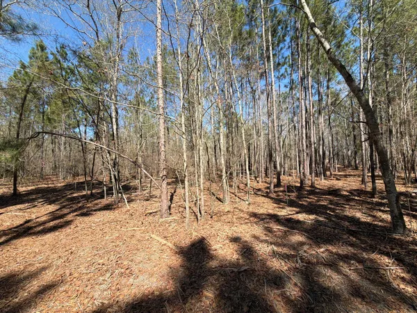 $99,900 | 13 Boise Cascade, Unit BHL 13, Bethune, SC 29009