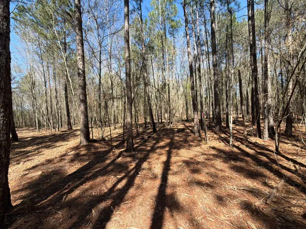 $99,900 | 13 Boise Cascade, Unit BHL 13, Bethune, SC 29009