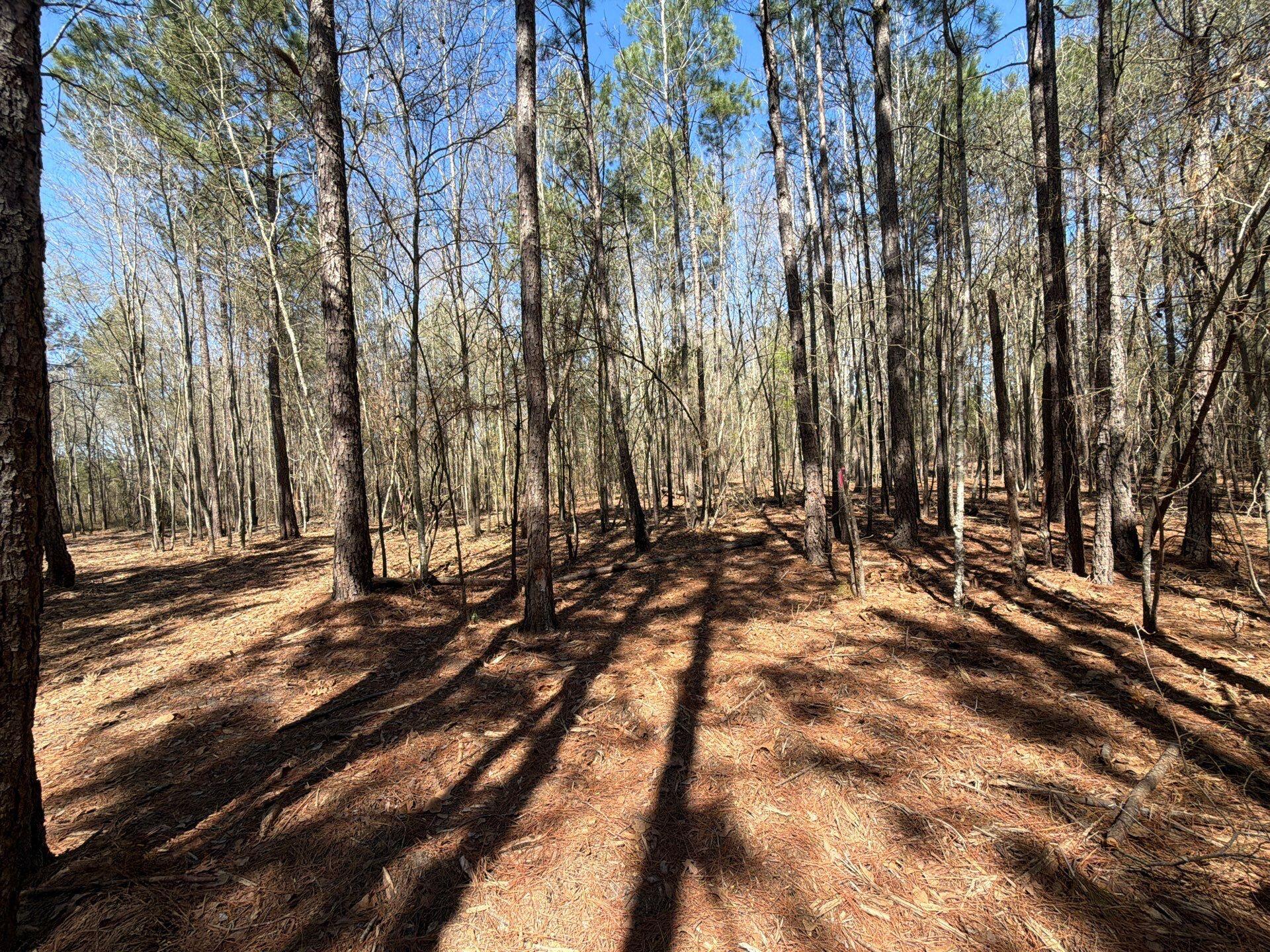 13 Boise Cascade, Unit BHL 13 Bethune, SC 29009 - Photo 24 of 36 23-Mar 18 2026 04_42pm-5y8v