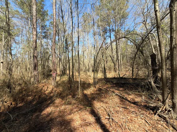 $99,900 | 13 Boise Cascade, Unit BHL 13, Bethune, SC 29009