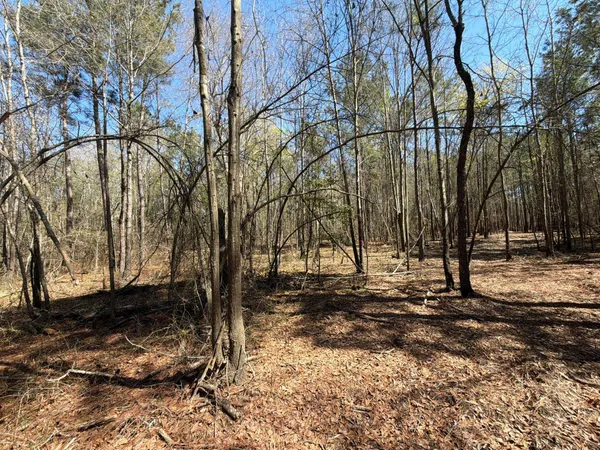 $99,900 | 13 Boise Cascade, Unit BHL 13, Bethune, SC 29009