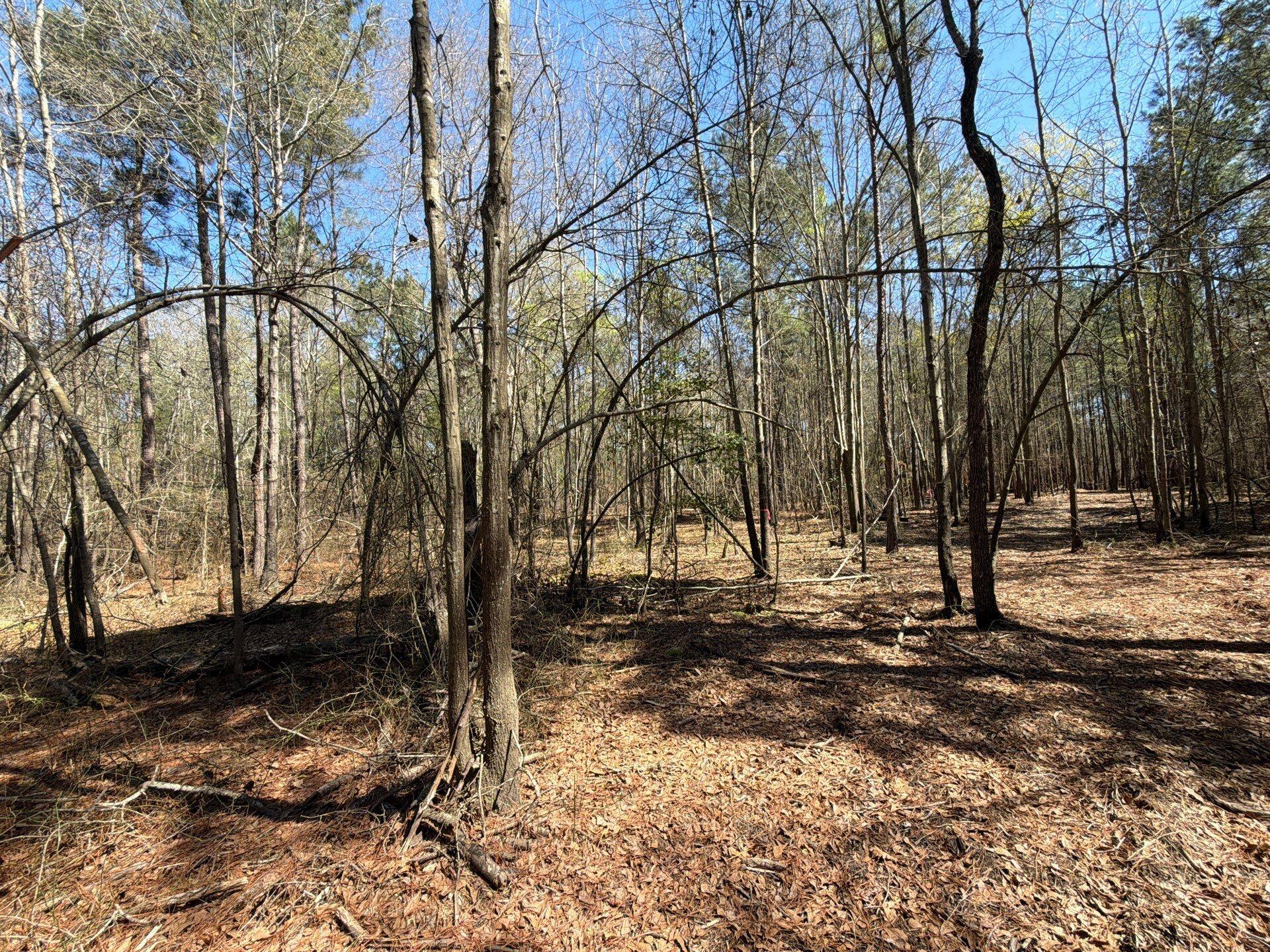 13 Boise Cascade, Unit BHL 13 Bethune, SC 29009 - Photo 27 of 36 26-Mar 18 2026 04_43pm-e4RF