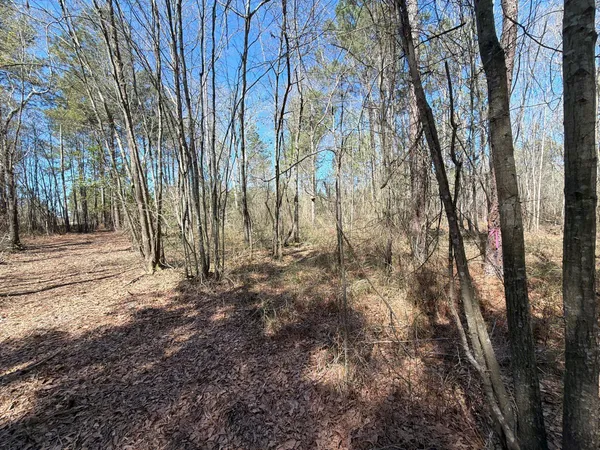 $99,900 | 13 Boise Cascade, Unit BHL 13, Bethune, SC 29009