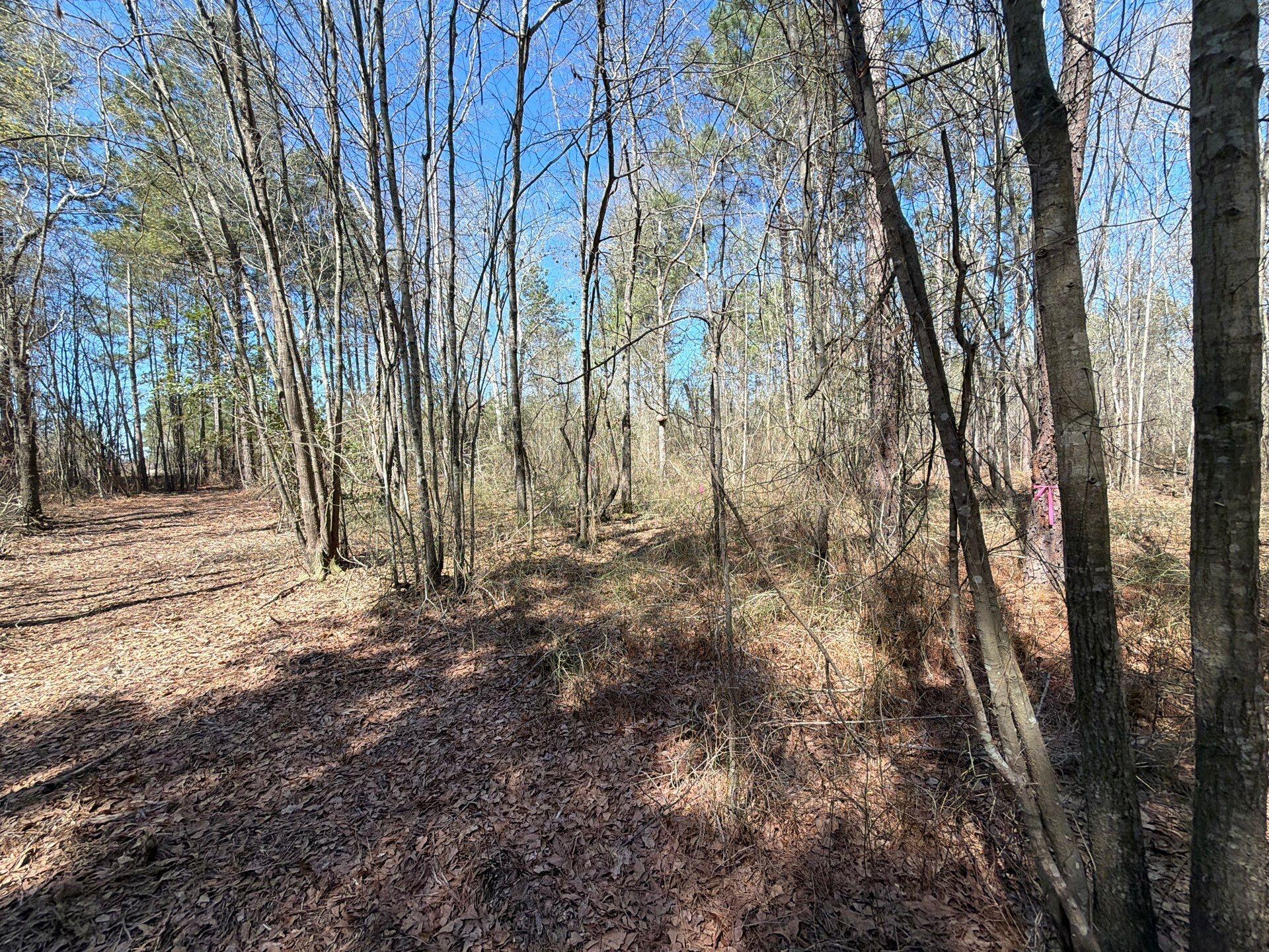 13 Boise Cascade, Unit BHL 13 Bethune, SC 29009 - Photo 28 of 36 27-Mar 18 2026 04_43pm-41xh