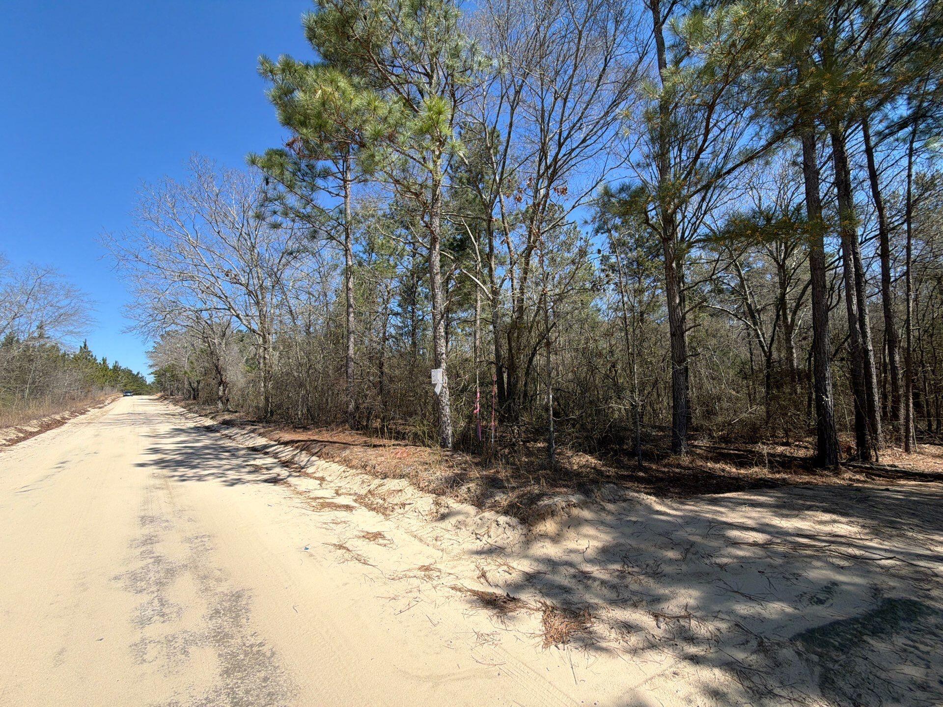 13 Boise Cascade, Unit BHL 13 Bethune, SC 29009 - Photo 29 of 36 28-Mar 18 2026 04_45pm-jeyz
