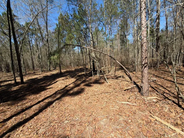 $99,900 | 13 Boise Cascade, Unit BHL 13, Bethune, SC 29009