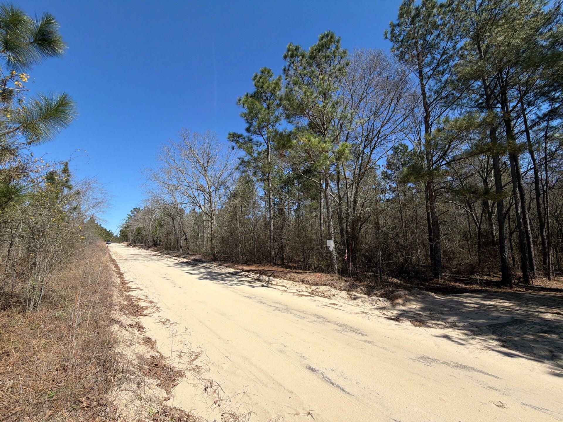 13 Boise Cascade, Unit BHL 13 Bethune, SC 29009 - Photo 31 of 36 31-Mar 18 2026 04_45pm-ABv3