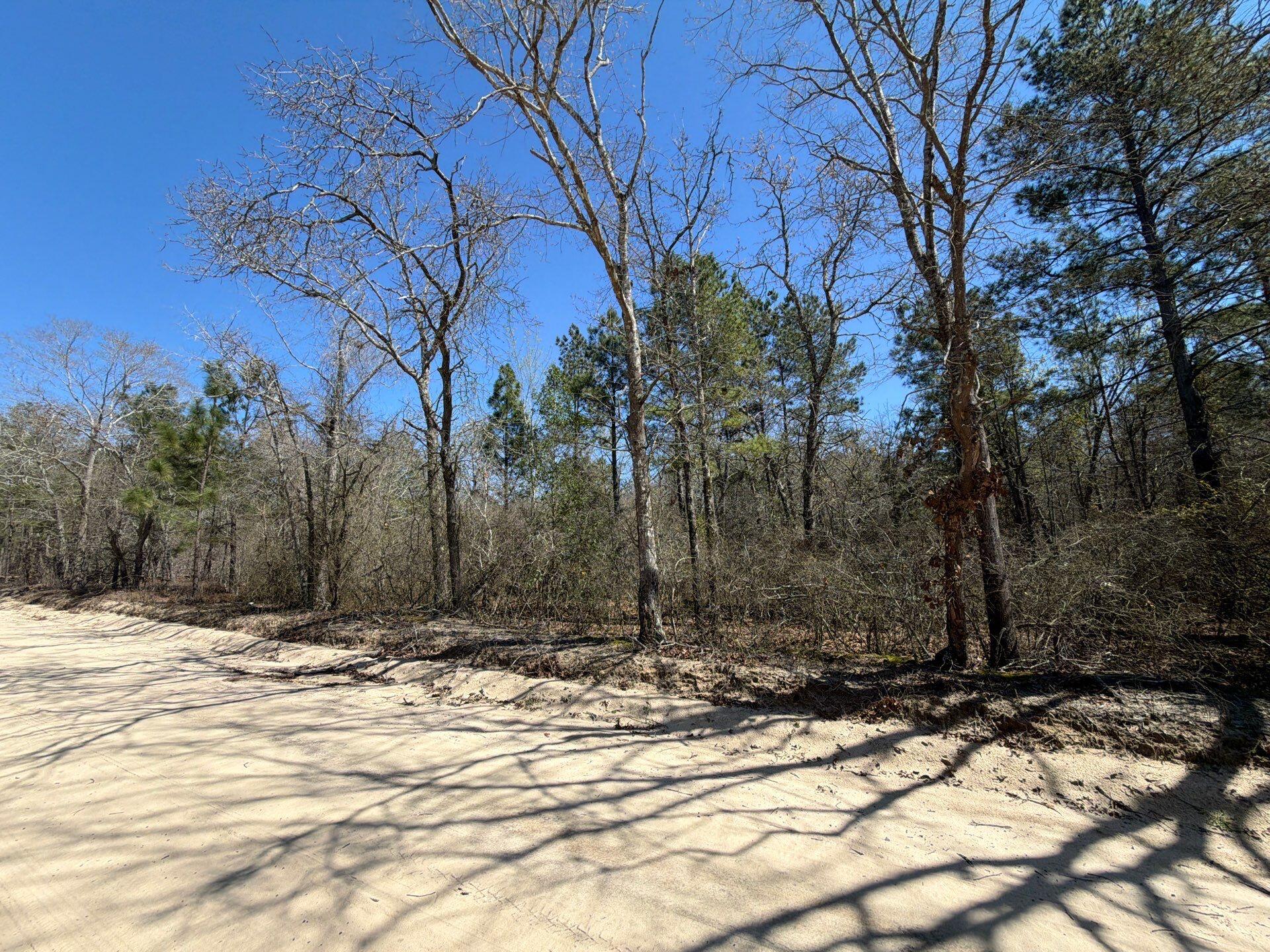 13 Boise Cascade, Unit BHL 13 Bethune, SC 29009 - Photo 32 of 36 32-Mar 18 2026 04_46pm-xpxz