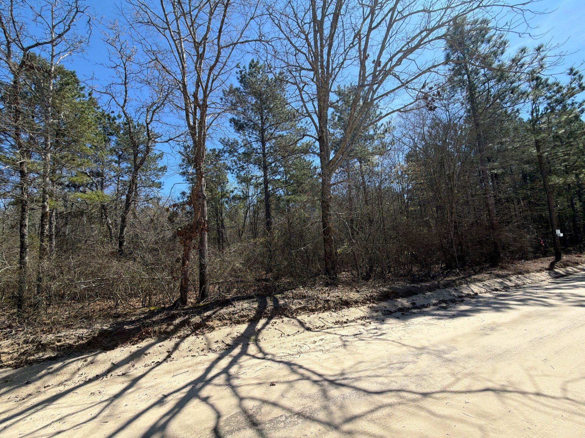 13 Boise Cascade, Unit BHL 13 Bethune, SC 29009 - Photo 33 of 36 33-Mar 18 2026 04_46pm-YZAG