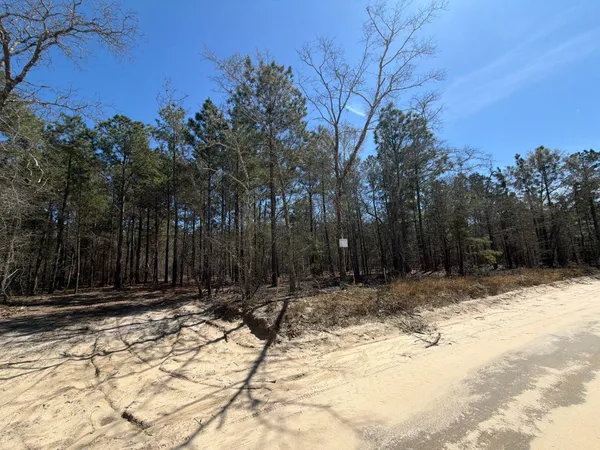 $99,900 | 13 Boise Cascade, Unit BHL 13, Bethune, SC 29009