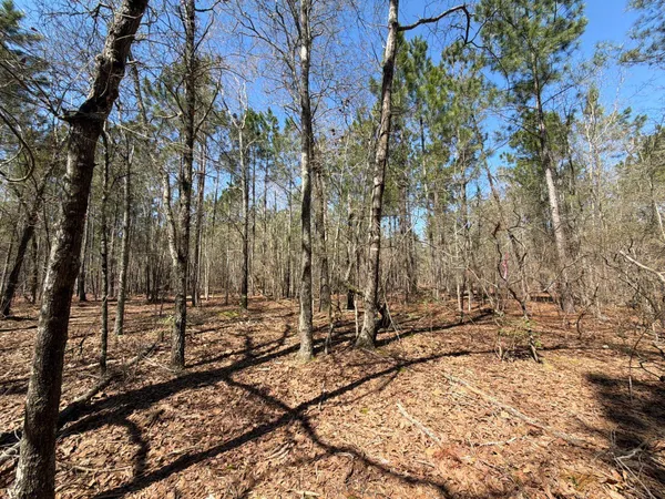 $99,900 | 13 Boise Cascade, Unit BHL 13, Bethune, SC 29009