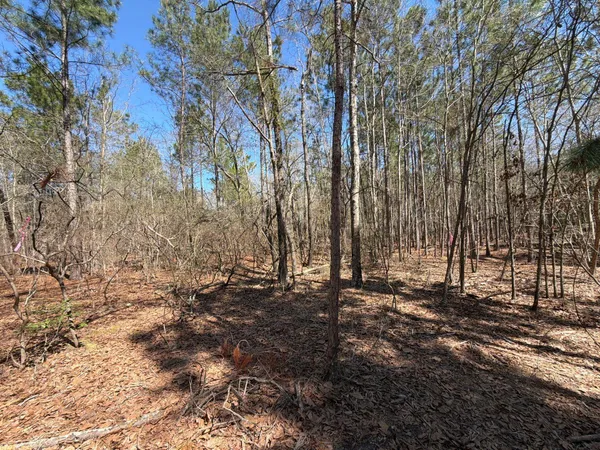 $99,900 | 13 Boise Cascade, Unit BHL 13, Bethune, SC 29009