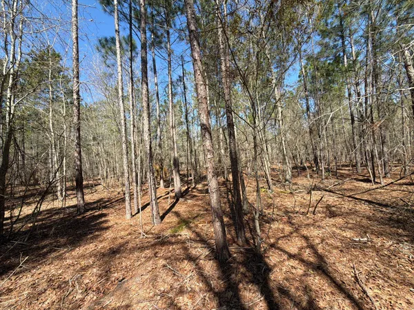 $99,900 | 13 Boise Cascade, Unit BHL 13, Bethune, SC 29009