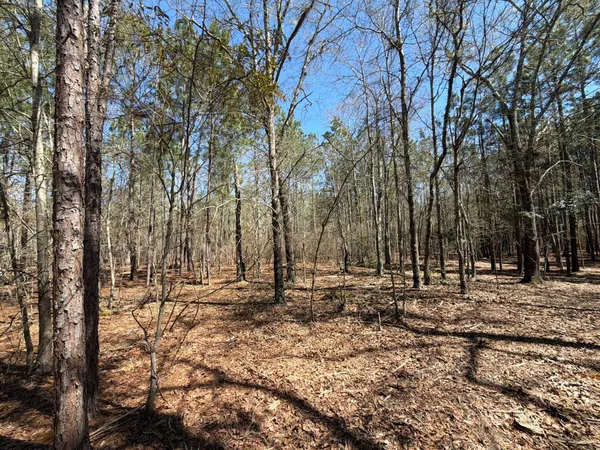 $99,900 | 13 Boise Cascade, Unit BHL 13, Bethune, SC 29009