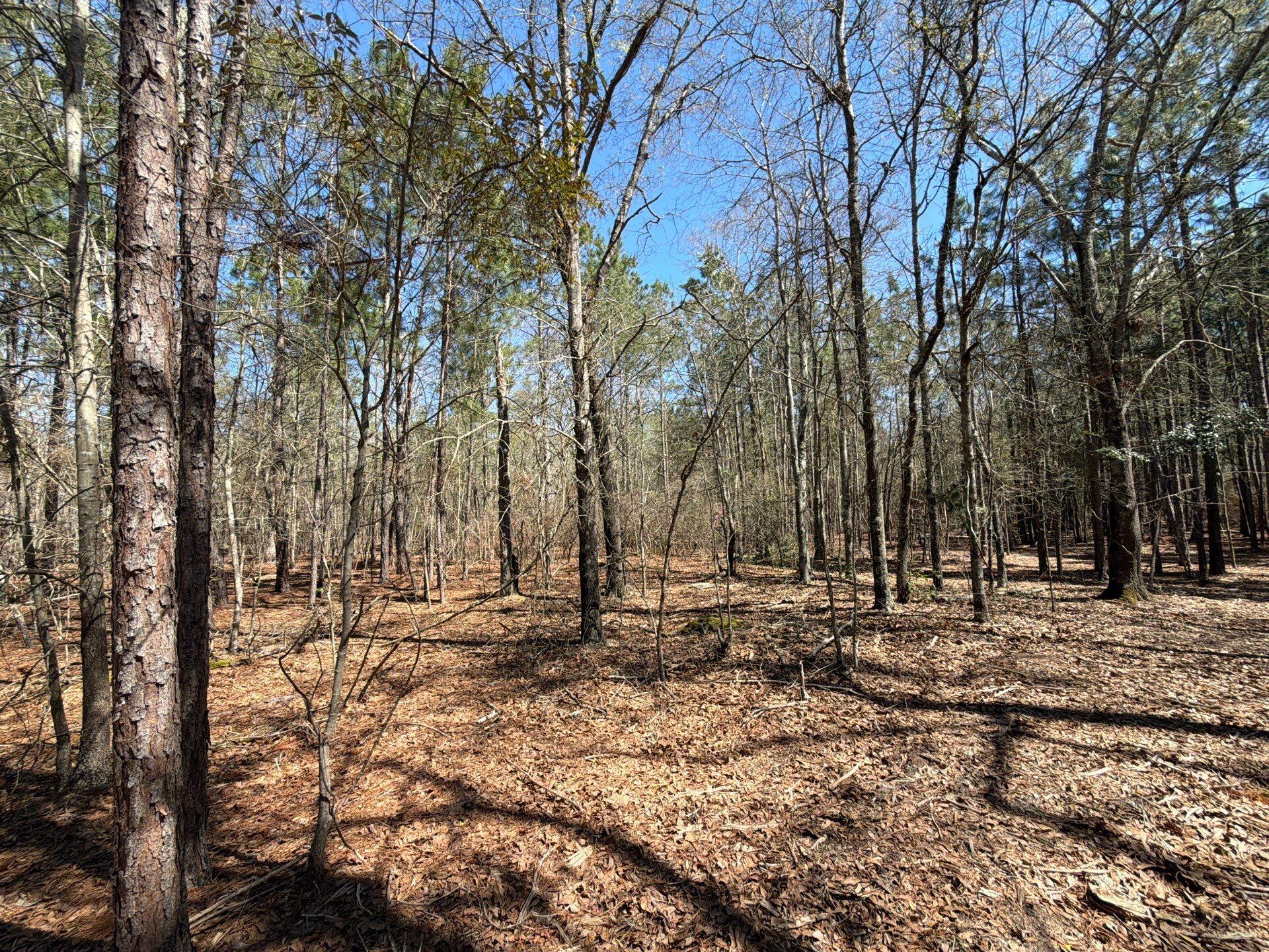 13 Boise Cascade, Unit BHL 13 Bethune, SC 29009 - Photo 8 of 36 7-Mar 18 2026 04_36pm-EQ6t