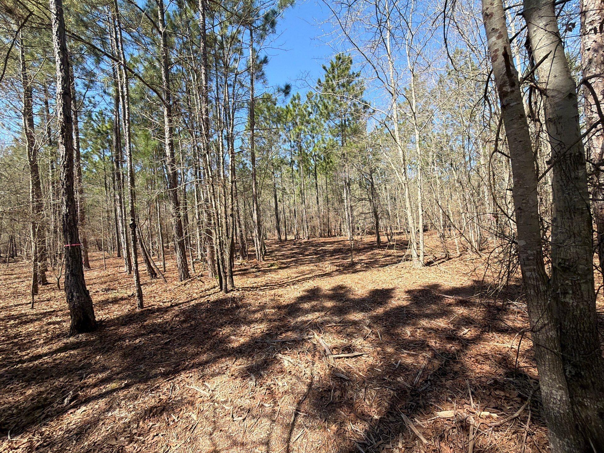 13 Boise Cascade, Unit BHL 13 Bethune, SC 29009 - Photo 9 of 36 8-Mar 18 2026 04_36pm-XHVP