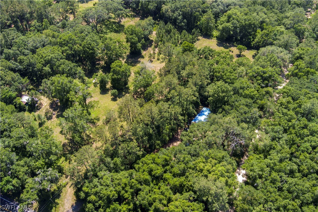 Northwest Hickory Road Madison, FL 32340 - Photo 12 of 21 view of a lots of trees and bushes