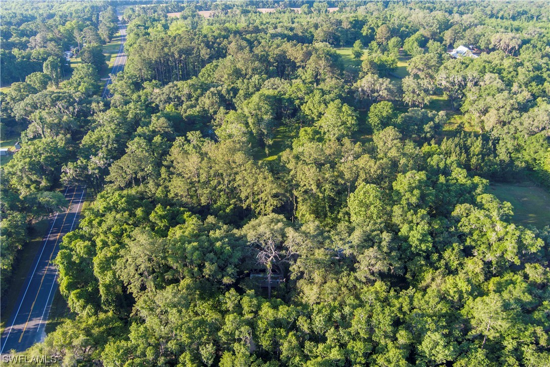 Northwest Hickory Road Madison, FL 32340 - Photo 15 of 21 view of a lush green forest