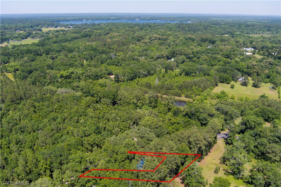Northwest Hickory Road Madison, FL 32340 - Photo 2 of 21 a view of a green field with lots of bushes