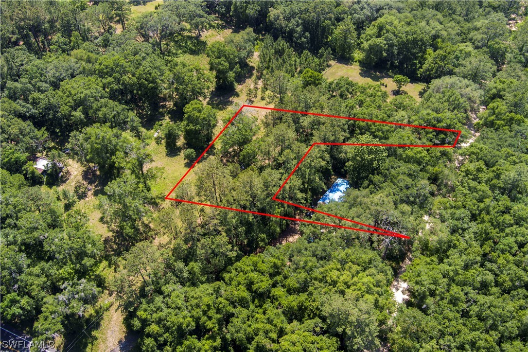 Northwest Hickory Road Madison, FL 32340 - Photo 3 of 21 an aerial view of residential house with outdoor space and trees all around