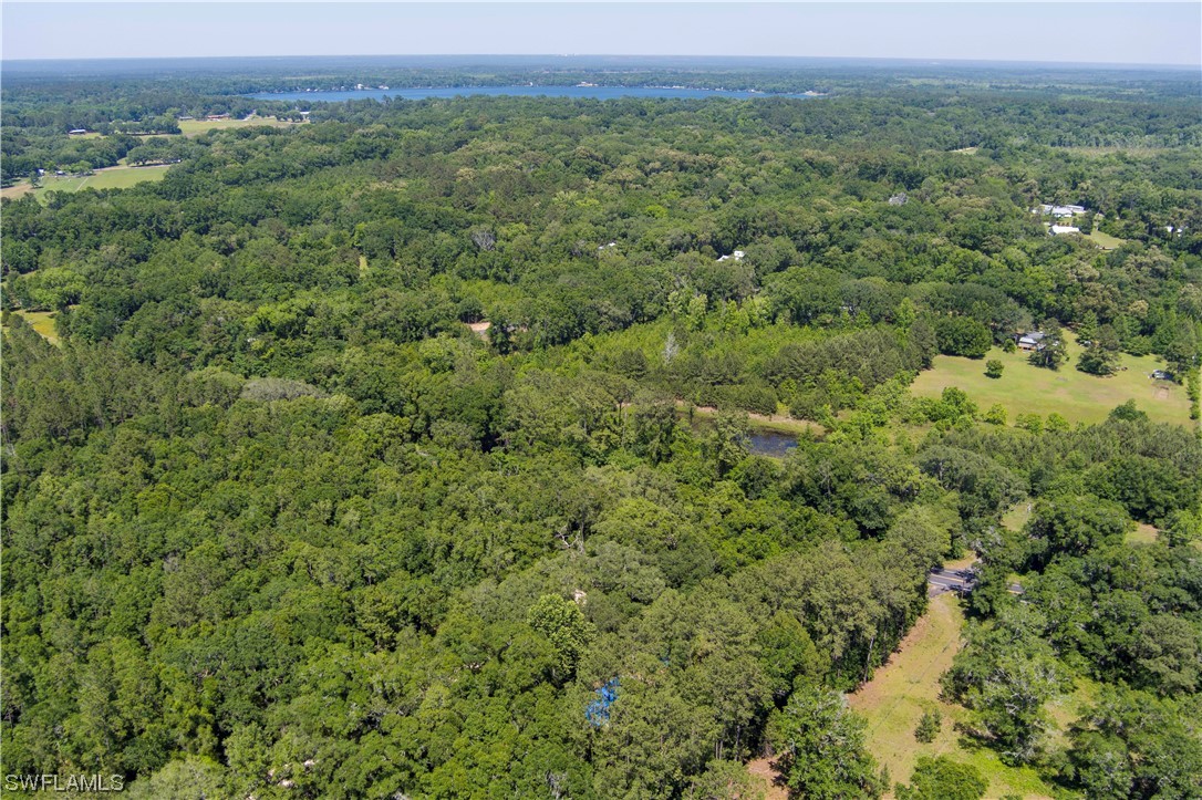 Northwest Hickory Road Madison, FL 32340 - Photo 4 of 21 a view of a green field with lots of bushes