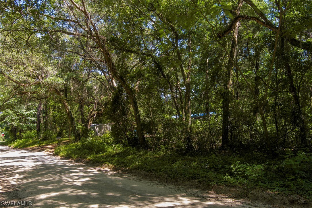 Northwest Hickory Road Madison, FL 32340 - Photo 10 of 21 a view of outdoor space and yard