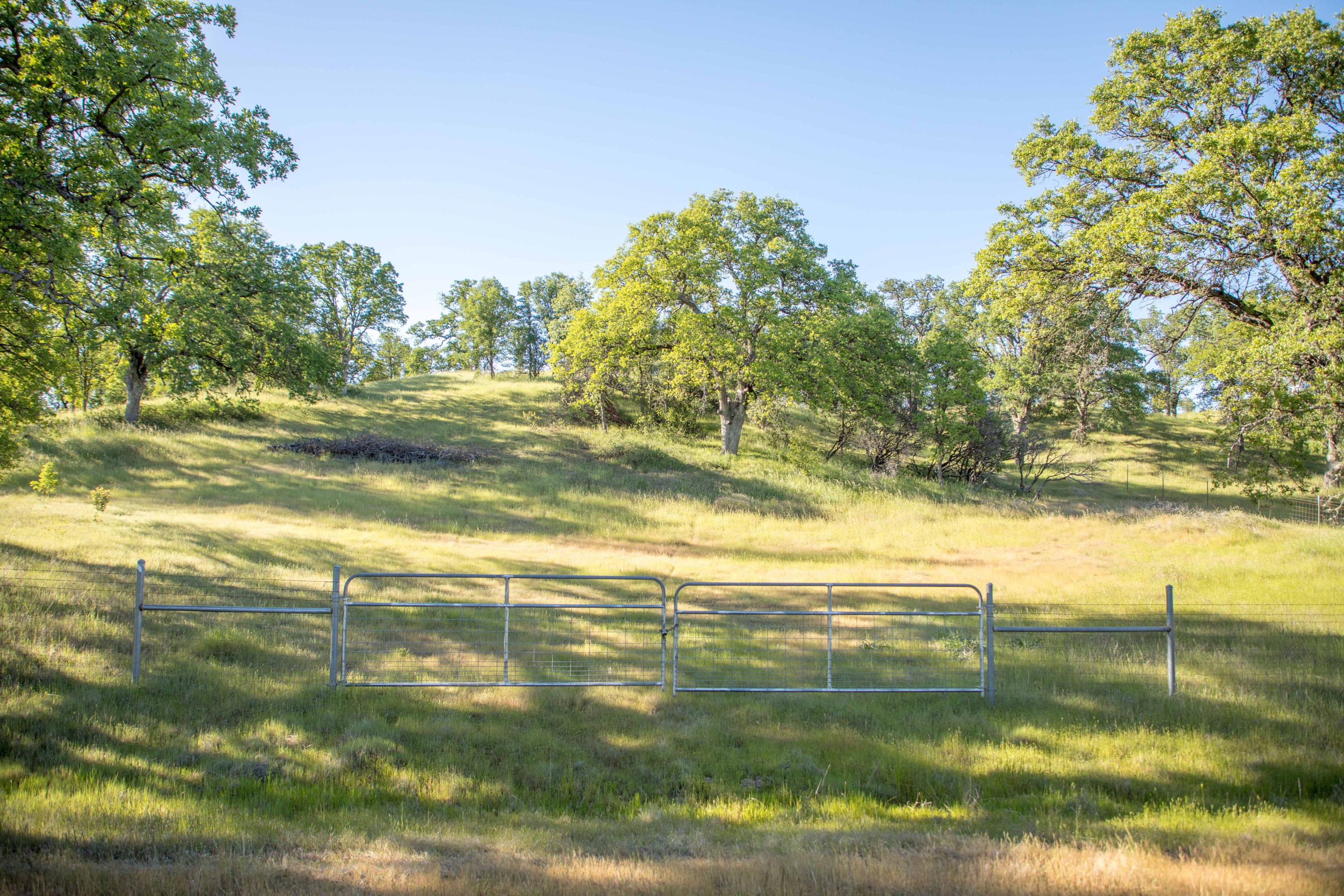 Quail Ridge Cottonwood, CA 96022 - Photo 19 of 27 254A8533