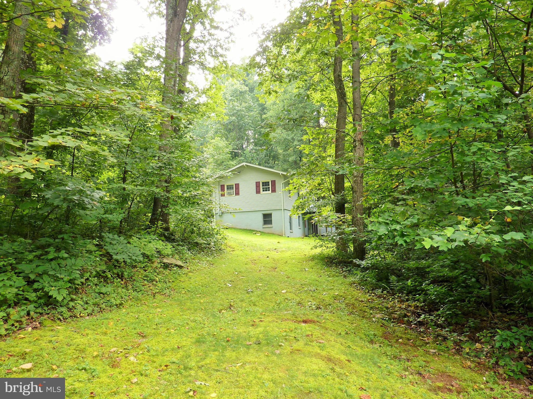 61 Tranquil Lane Linden, VA 22642 - Photo 22 of 24 Exterior (General)