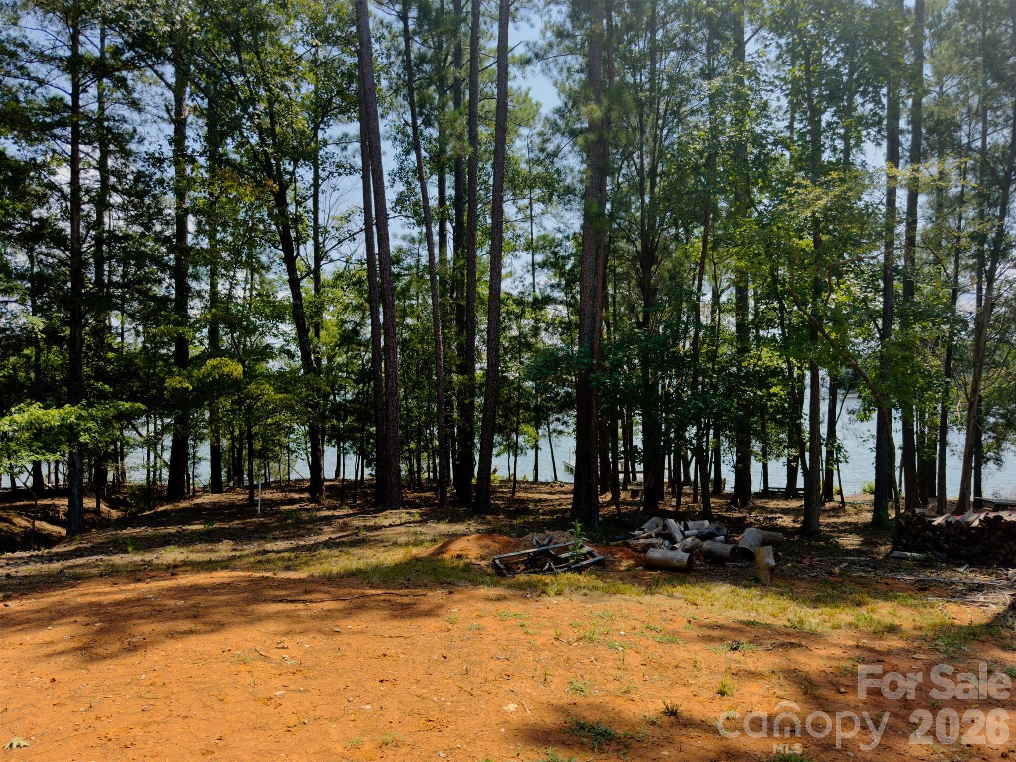 955 Cole Trestle Road Blair, SC 29015 - Photo 14 of 30 Gallery Image 14