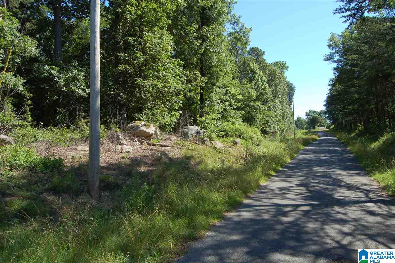 49-acres Chandler Mountain Road, Unit 1 Steele, AL 35987 - Photo 12 of 23