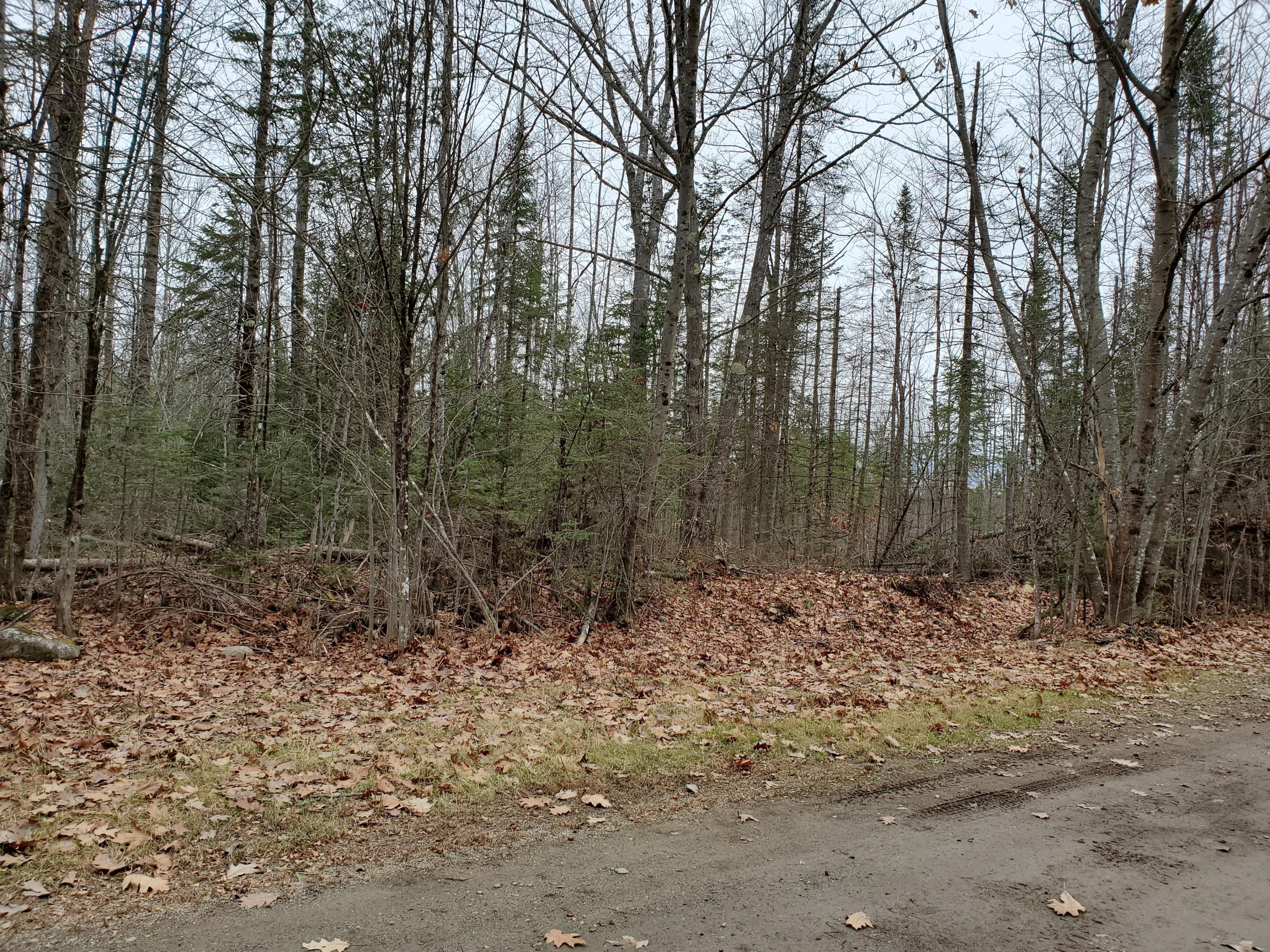 Lot 7 Johnson Flat Road Dexter, ME 04930 - Photo 4 of 6 20191111_102752