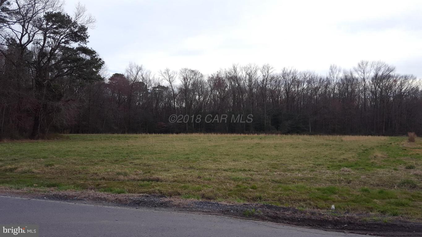 O Johnson Road Pocomoke City, MD 21851 - Photo 1 of 1