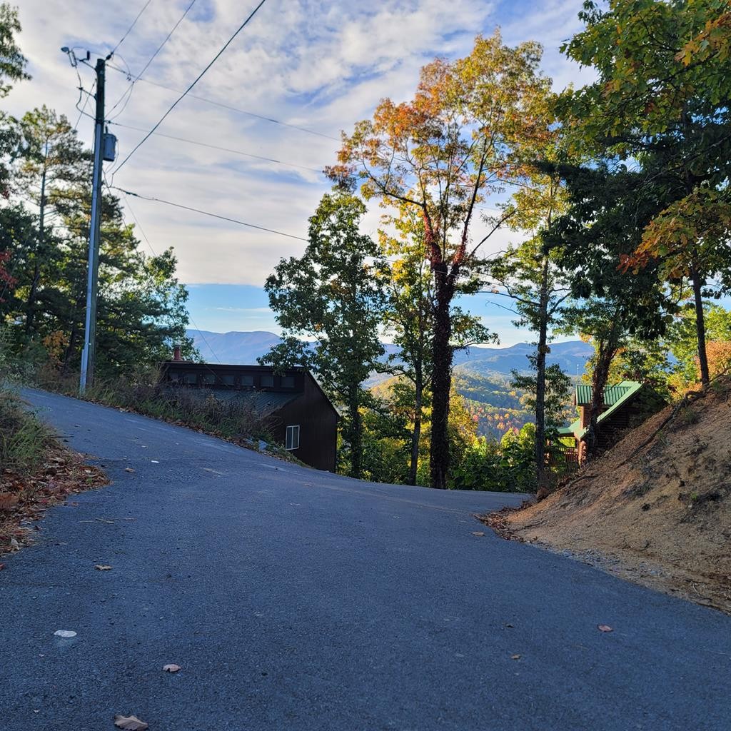 36 Blue Tick Way Sevierville, TN 37876 - Photo 25 of 25